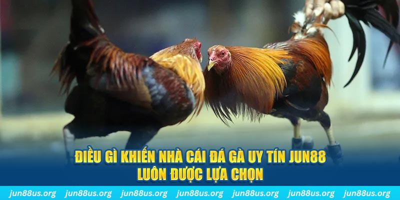 55789win qq88 nổ hũ bắn cá