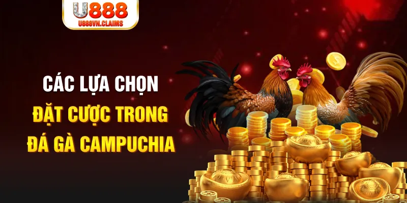 55789win SW Xổ Số