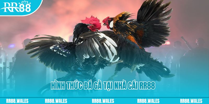 55789win xin 1 slot là gì
