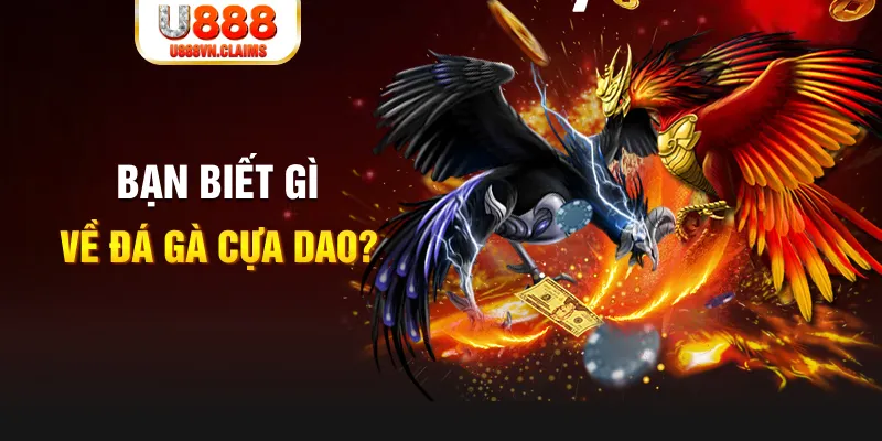 55789win xổ số kiến thiết