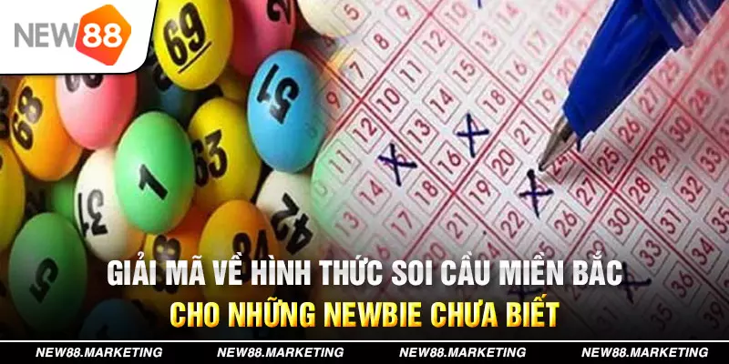 55789win đăng nhập mậu binh live
