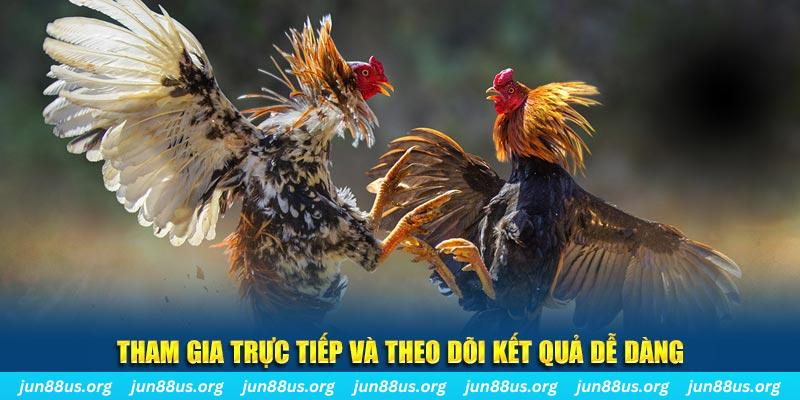 55789win đá gà trực tiếp bình luận viên