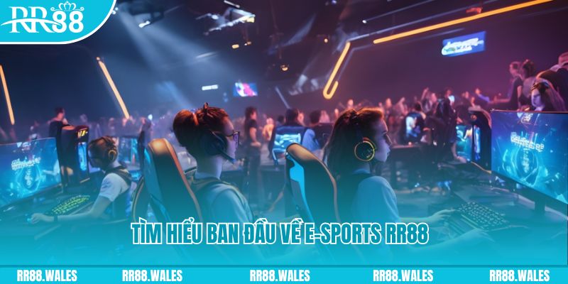 55789win Đĩa màu ace