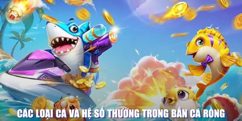 55789win loi game dot kich ket noi may chu that bai