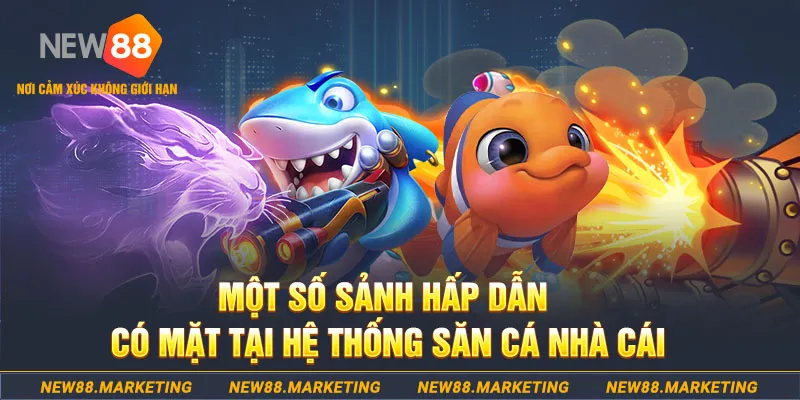 55789win đăng nhập sòng bạc 2025