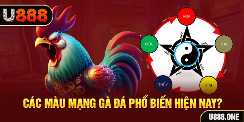 55789win đăng nhập mậu binh