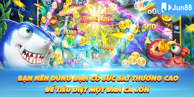 55789win Tung Đồng Xu