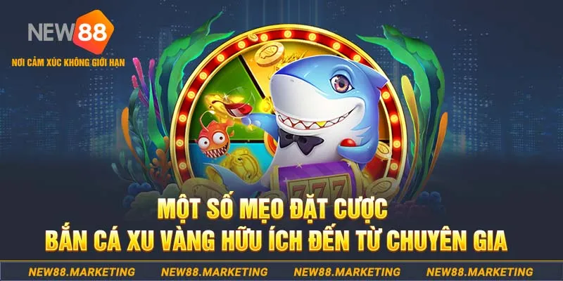 55789win Tài Xỉu