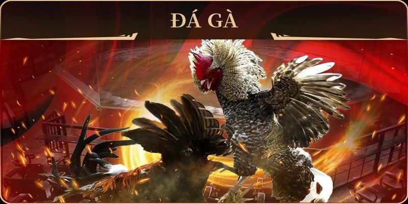 55789win no hu doi thuong ai