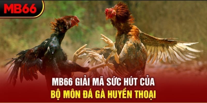 55789win Phi Đội Ưu Tú