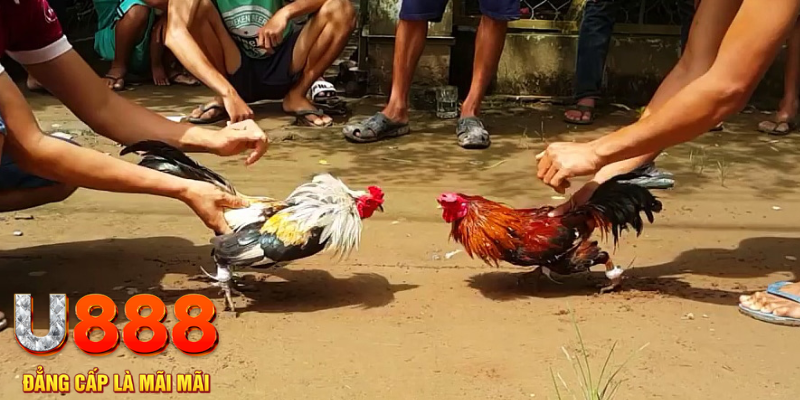 55789win đăng nhập mậu binh rút tiền nhanh