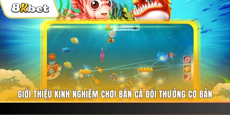 55789win xổ số miền bắc thứ năm hàng tuần