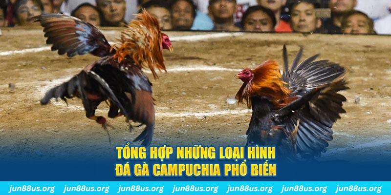 55789win ON Trực Tuyến