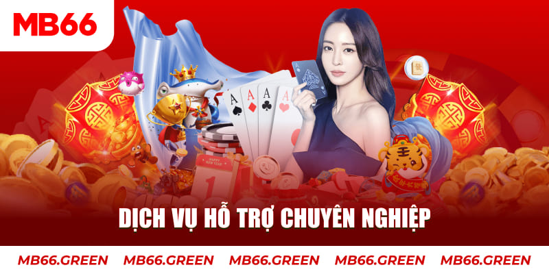 55789win AOG Đá Gà