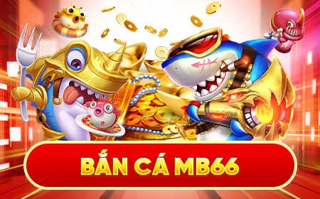 55789win đá gà trực tiếp 67