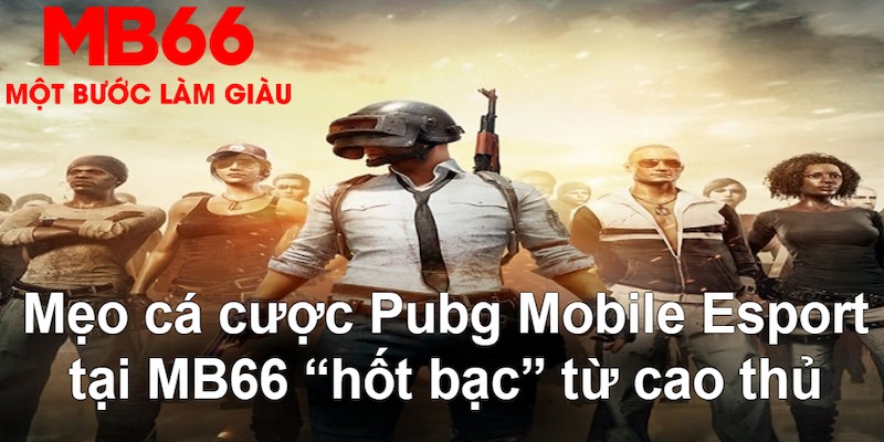 55789win gà chọi mộc hóa