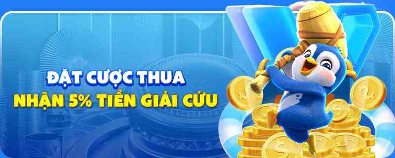 55789win gà chọi cu cần