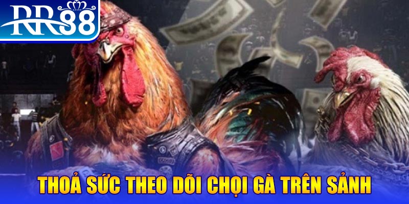 55789win đá gà 88.com