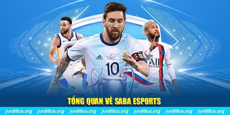 55789win gà chọi c1 tv trực tiếp hôm nay
