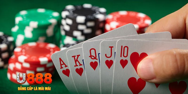 55789win trực tiếp đá gà